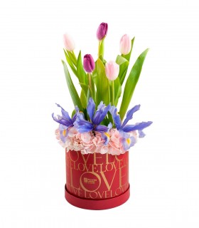 Tulipanes, Iris Y Hortensias - REDLOVRO05