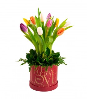 10 Tulipanes Y Gardenias - REDLOVRO06
