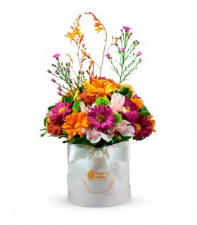 Flores Variadas - REDPER06