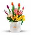 Tulipanes Y Astromelias - REDPER08