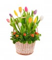 10 Tulipanes - TUL11