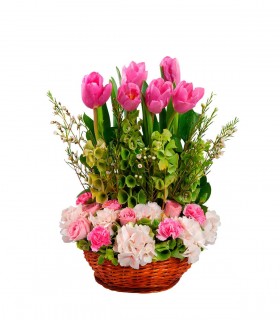 Tulipanes, Mini Rosas Y Hortensias - TUL22