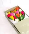 Caja Con 20 Tulipanes - CTx20