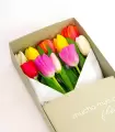 Caja Con 10 Tulipanes - CTx10