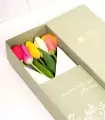 Caja Con 5 Tulipanes - CTx5