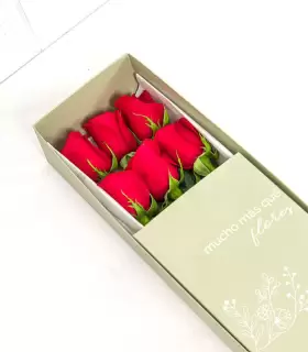 Caja Con 6 Rosas - CAx6