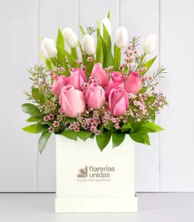 Box de Tulipanes y Rosas - MA24-01
