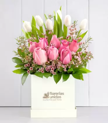 Box de Tulipanes y Rosas - MA24-01