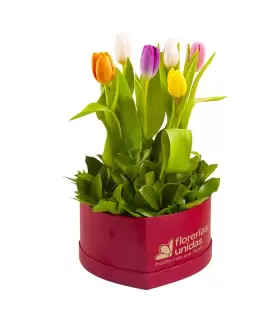 Box Corazón con 6 tulipanes y follaje - SV24-09