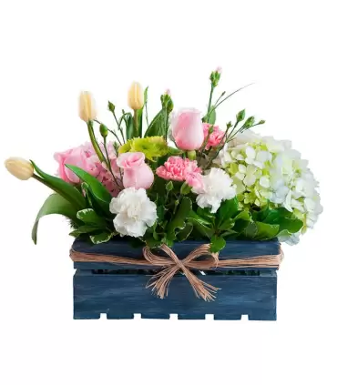 Tulipanes, Rosas Y Hortensias - VIN06
