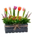 Tulipanes Y Flores Variadas - VIN17