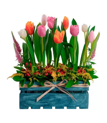 10 Tulipanes Y Flores Variadas - VIN20