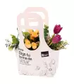 Tulipanes Y Mini Rosas - CFGR03