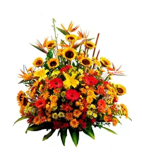 Girasoles Y Flores Variadas - GIR10