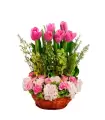 Tulipanes, Mini Rosas Y Hortensias - TUL22