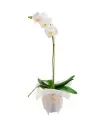 Orquidea Blanca - CON44