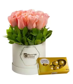 12 Rosas Rosadas + Ferrero - PK-JUL24-01