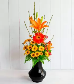 Gerberas Oscuras - HALLOCT24-02