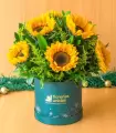 Navidad Radiante - Box Verde con Girasoles - NAV24-01