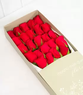 Caja Con 24 Rosas - CAx24