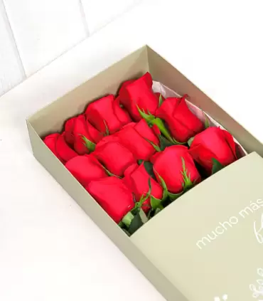 Caja Con 12 Rosas - CAx12