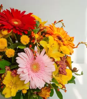 Colores de Gratitud Floral - VAR50