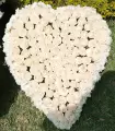 Almohadón Funebre Corazón 120 Rosas  - CON54