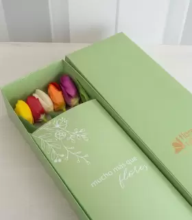 Caja con 5 Tulipanes - MA25-18