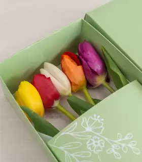 Caja con 5 Tulipanes - MA25-18