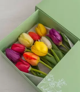 Caja con 10 Tulipanes - MA25-19
