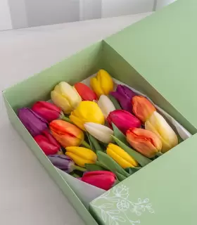 Caja con 20 Tulipanes - MA25-20