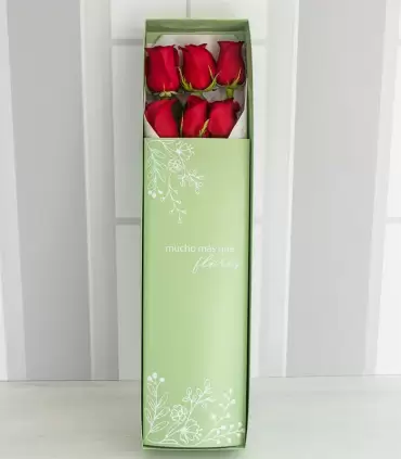 Caja con 6 Rosas Rojas - MA25-15