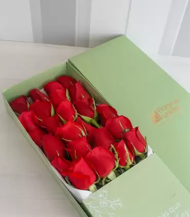 Caja con 24 Rosas Rojas - MA25-17
