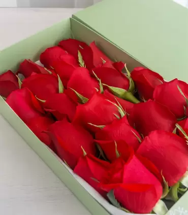 Caja con 24 Rosas Rojas - MA25-17