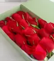 Caja con 24 Rosas Rojas - MA25-17