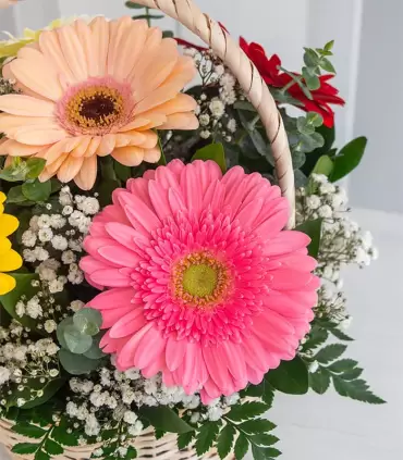 Canasta con Gerberas - MA25-02