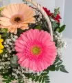 Canasta con Gerberas - MA25-02