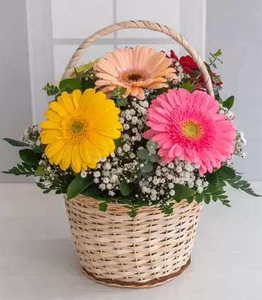 Canasta con Gerberas - MA25-02
