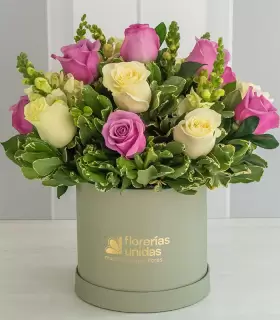 Box Verde con Rosas Pasteles - MA25-03