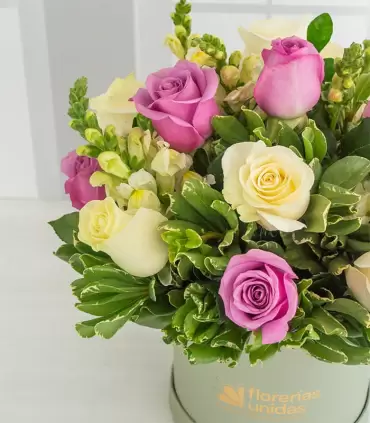Box Verde con Rosas Pasteles - MA25-03