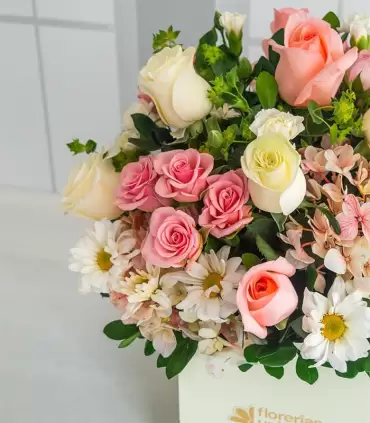 Box Floral Chico - MA25-04