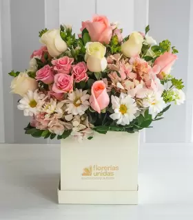 Box Floral Chico - MA25-04