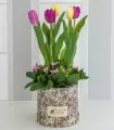 Box con Tulipanes - MA25-06