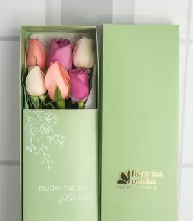 Caja con 6 Rosas Pasteles - MA25-14