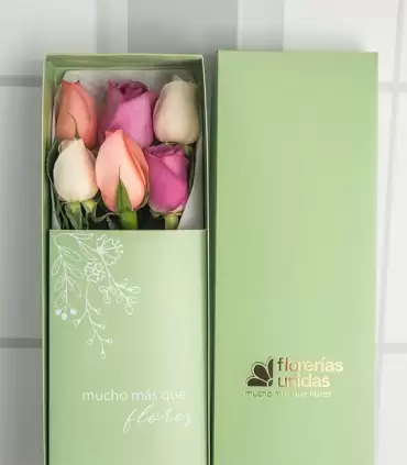 Caja con 6 Rosas Pasteles - MA25-14