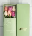 Caja con 6 Rosas Pasteles - MA25-14