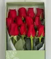 Caja con 12 Rosas Rojas - MA25-16