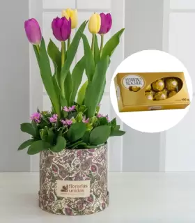 Box con Tulipanes + Ferrero - MA25-22