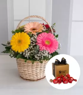Canasta con Gerberas + Sorini - MA25-25