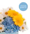 Gerberas, Hortensias Y Margaritas - NAC41